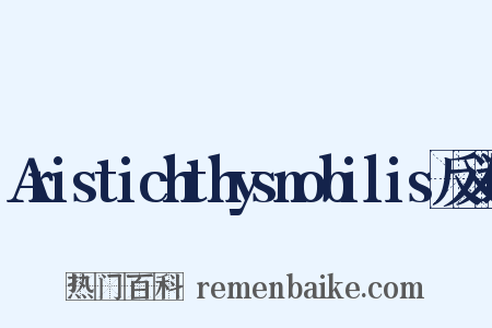 Aristichthysnobilis反义词是什么意思的图片